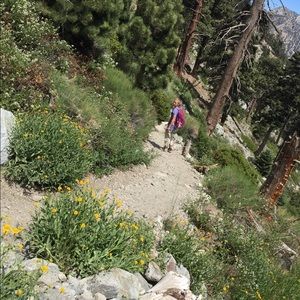 Meet your Posher, Hillary